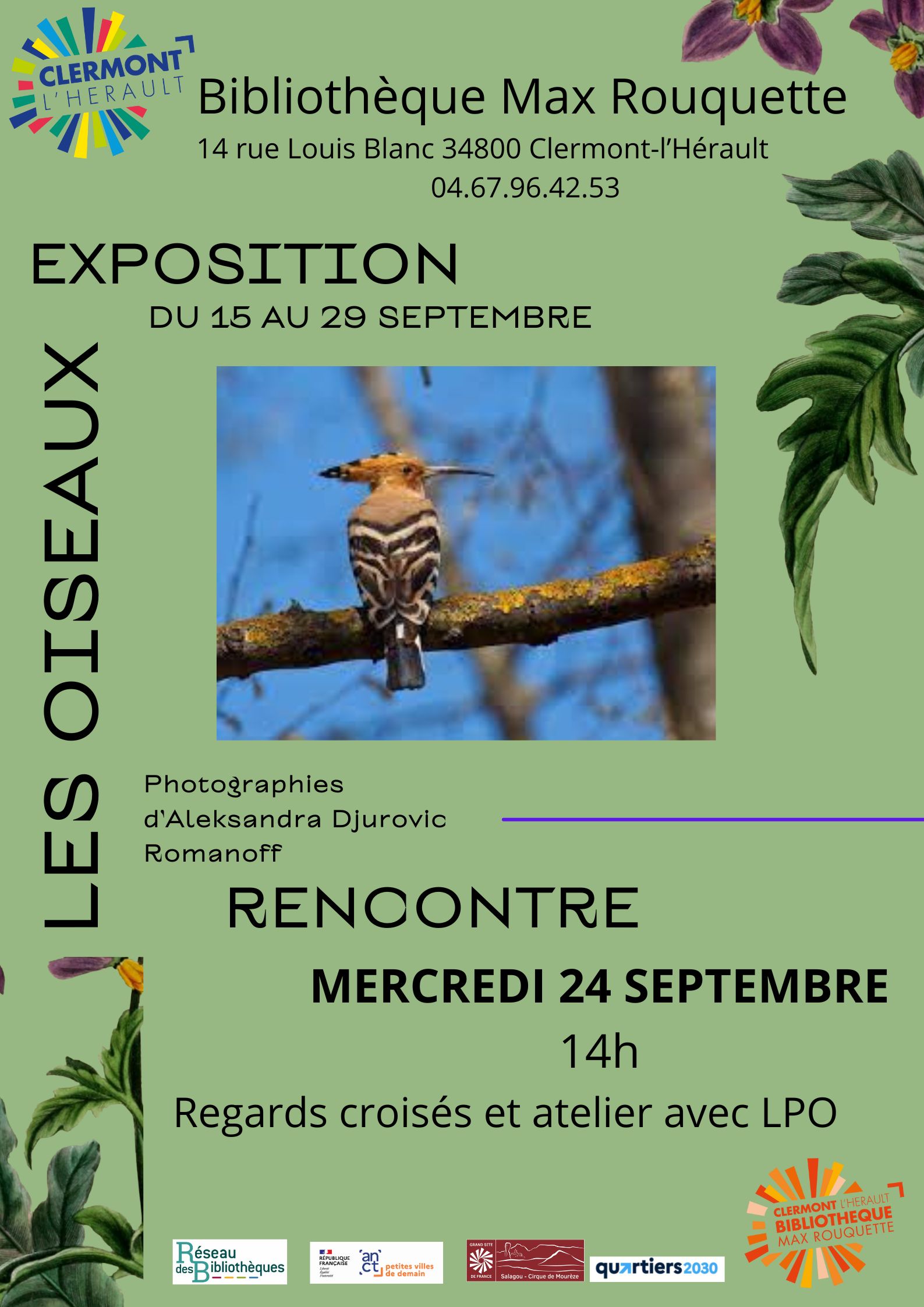 Image EXPOSITION - LES OISEAUX