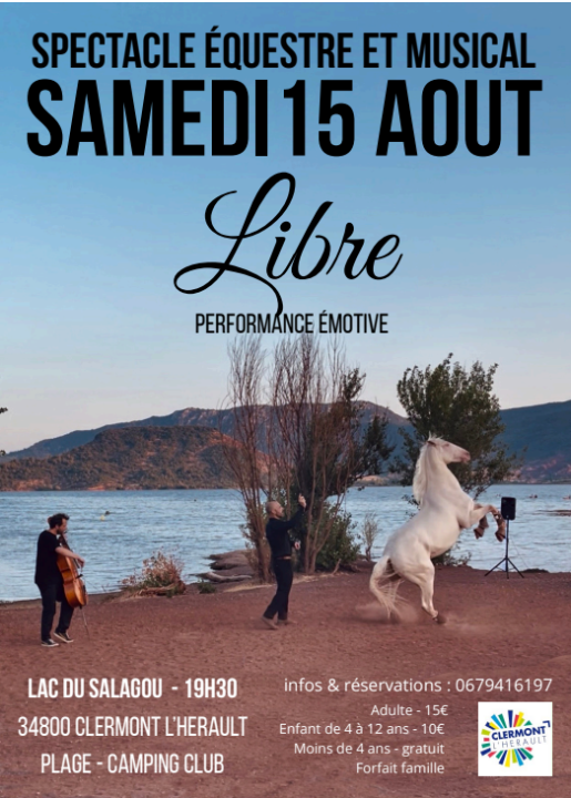 Image SPECTACLE ÉQUESTRE & MUSICAL