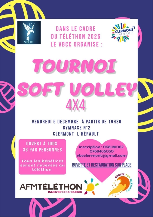 Image TÉLÉTHON 2025 | TOURNOI DE SOFT VOLLEY